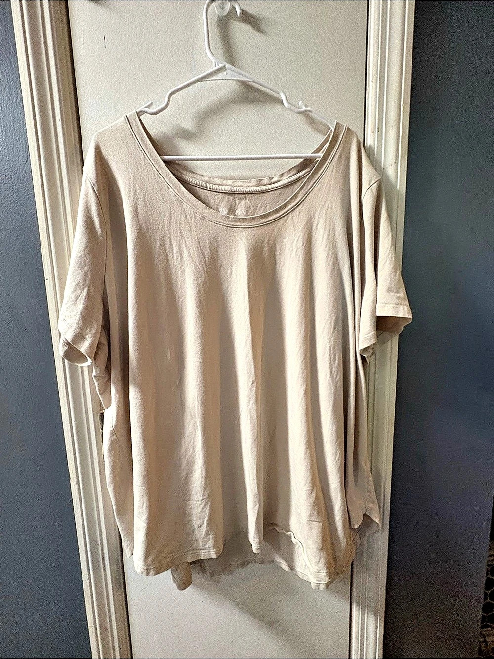 AVAVIV Short Sleeve Cotton Tee in Beige Size 3X
